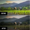 Lightroom Preset - Light Dark - Image 4