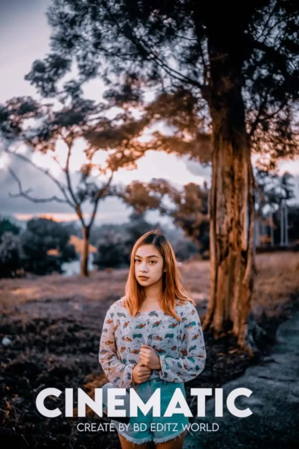 1,50,000 Mega Lightroom Presets - Desktop - Image 3