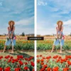 Natural Presets Lightroom Mobile - Image 5