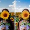 Natural Presets Lightroom Mobile - Image 6