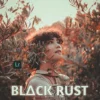 1,50,000 Mega Lightroom Presets - Desktop - Image 6