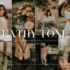 Video LUTs' - 300+ Earthly Tones - Image 3