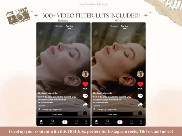 Video LUTs' - 300+ Earthly Tones - Image 9