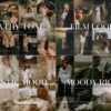Video LUTs' - 300+ Earthly Tones - Image 5