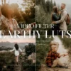Video LUTs' - 300+ Earthly Tones