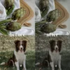 Premium Dark Video LUTs' - Image 4